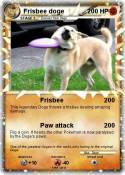 Frisbee doge