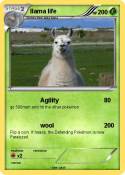 llama life