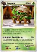 Burgurtle