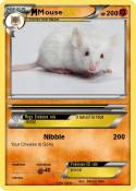 Mouse