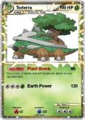 Torterra