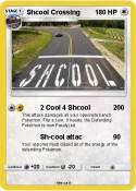 Shcool Crossing