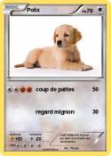 Polix