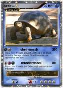 turtle