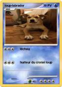 loup-labrador