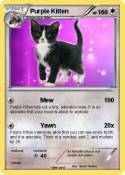 Purple Kitten