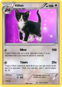 Kitten