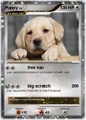 Puppy