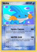 Mudkip