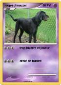 loup-schnauzer
