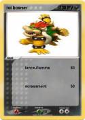 roi bowser