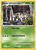 berger allemand