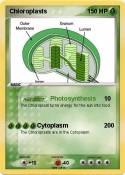 Chloroplasts