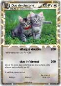Duo de chatons