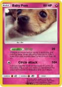 Baby Pom