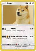 Doge