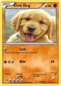 Cute Dog