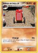 Voiture en boy