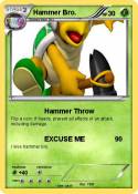 Hammer Bro.