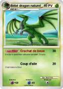 Bébé dragon