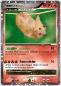 hamsbraz