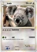 koala