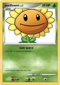 sunflower