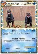 Cats and dogs