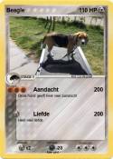 Beagle