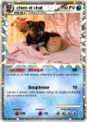 chien et chat