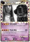 Hypnosis Dog