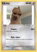 Flat dog
