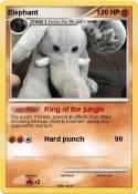 Elephant