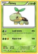 Turtwig