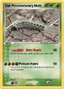 Oak Processiona
