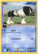 shire 