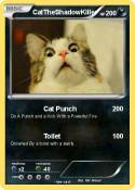 CatTheShadowKil