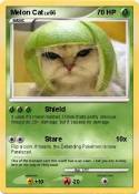 Melon Cat