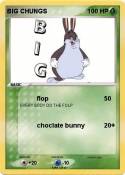 BIG CHUNGS