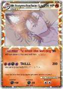 Mr.foxymcfoxfac