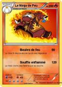 Le Ninja de Feu