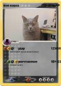 моя кошка