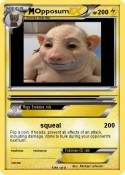 Opposum