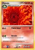 Flameta