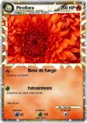 Piroflora
