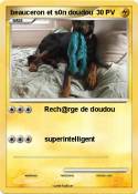 beauceron et