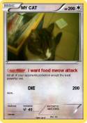 MY CAT