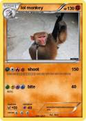 lol monkey