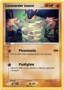 Commander beave