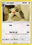Cat meme